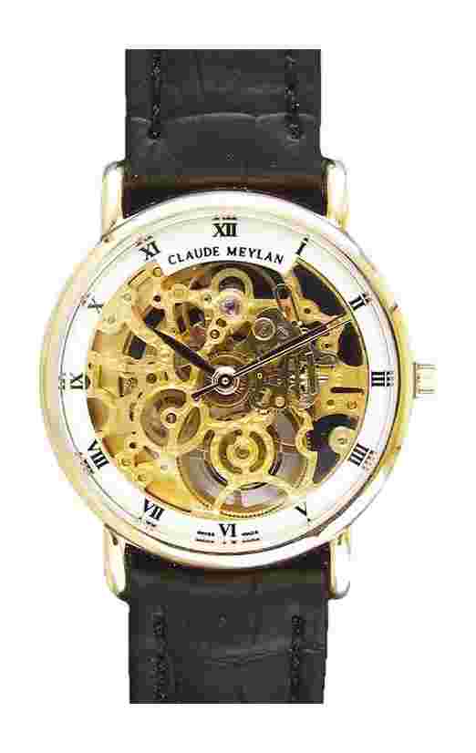 Claude Meylan
  
          Lionne