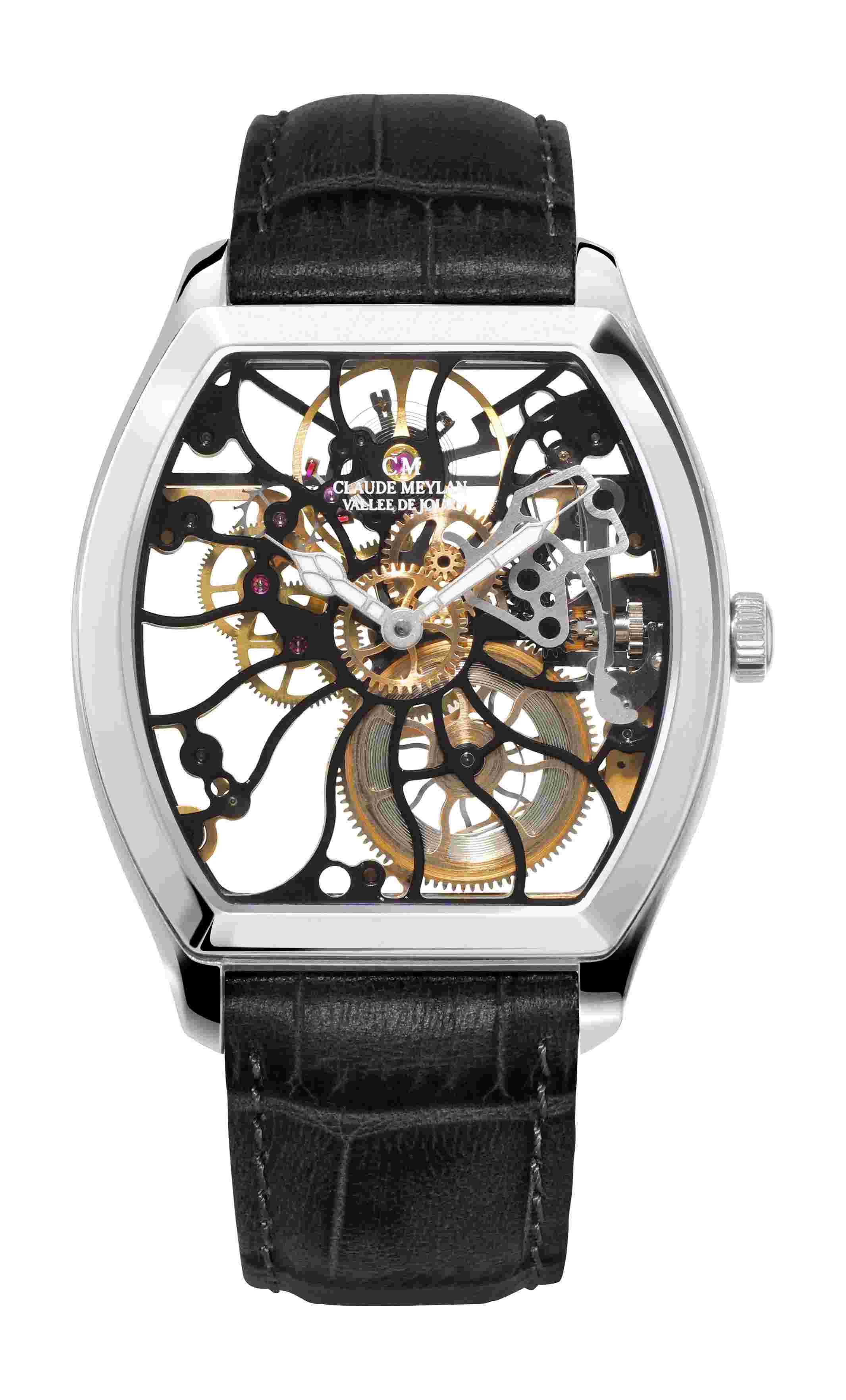Claude Meylan
  
          Tortue