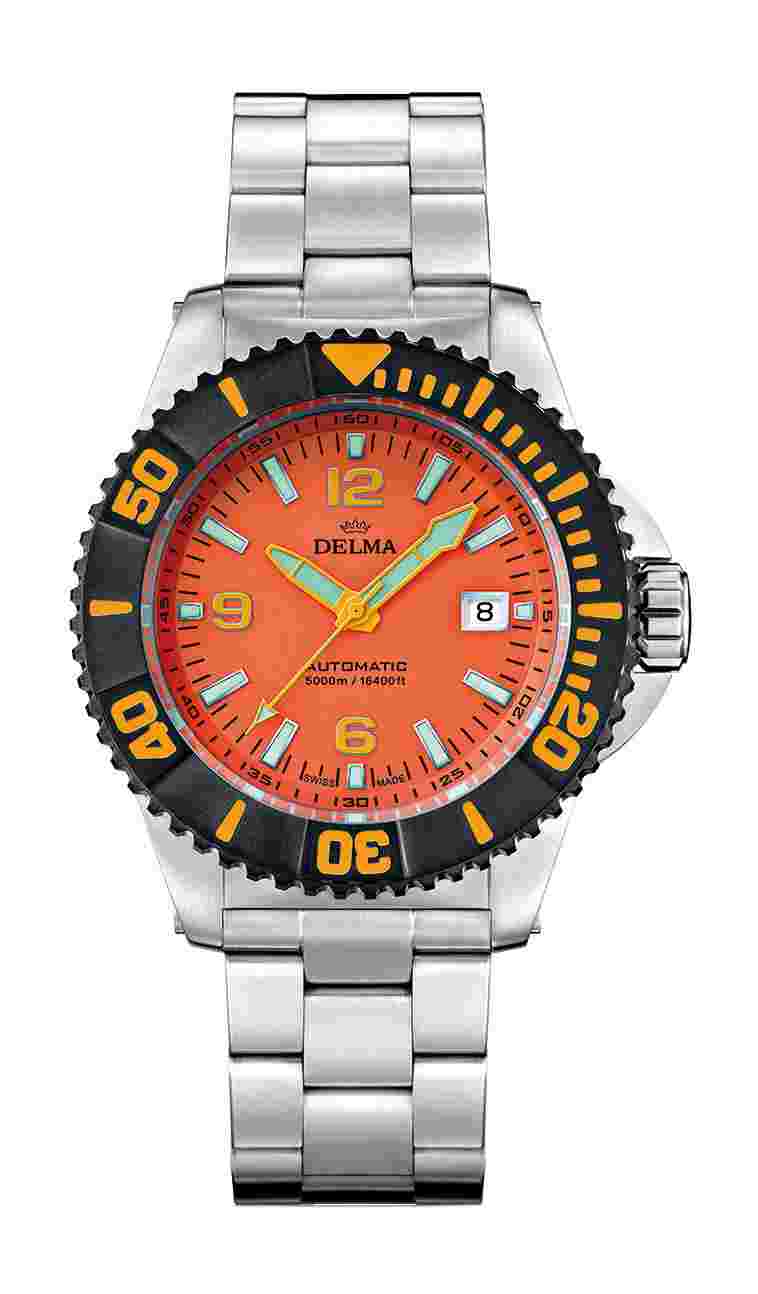 Delma
  
          Blue Shark IV