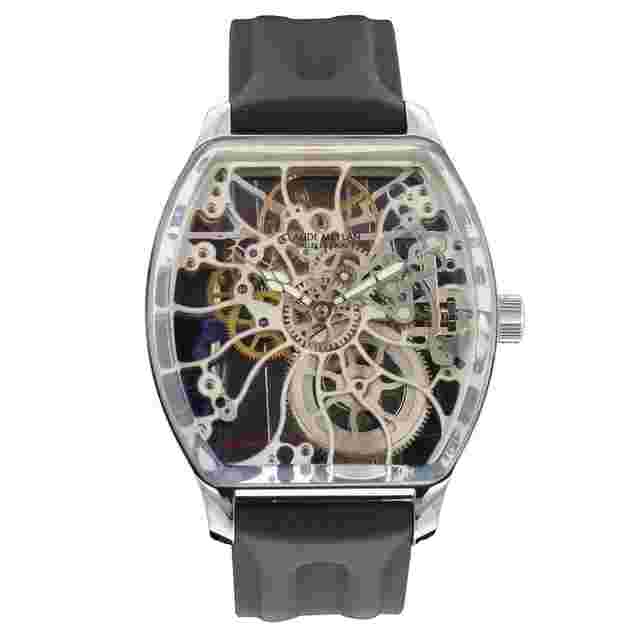 Claude Meylan Turtle skeleton