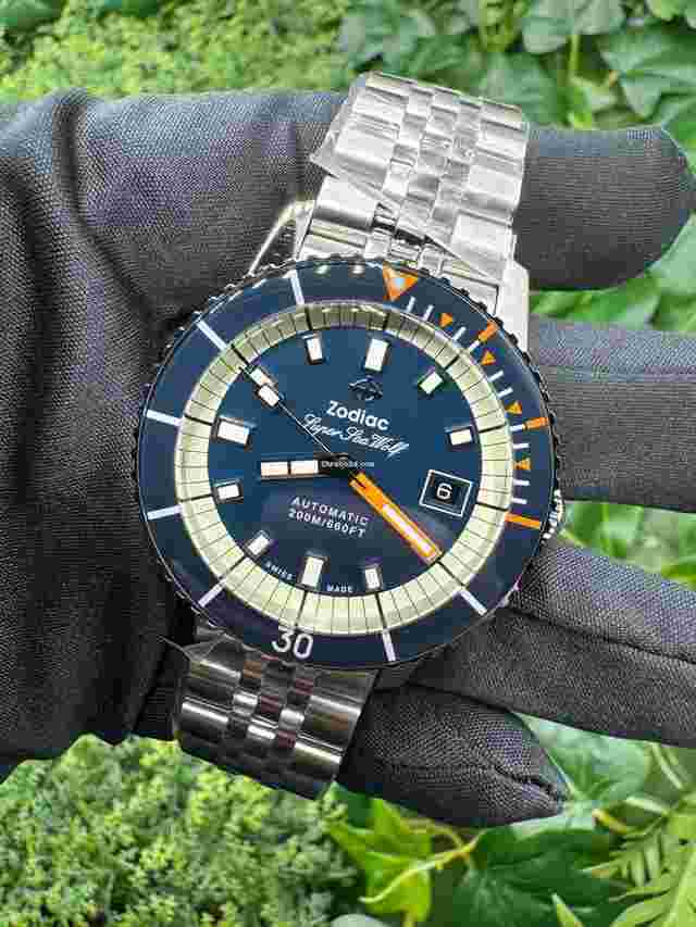 Zodiac Sea Wolf
                           
                                 Super Sea Wolf Compression Automatic ZO9266