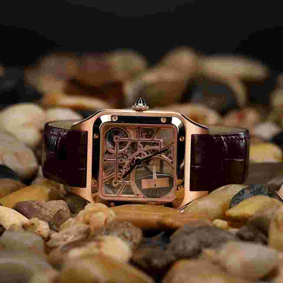 Cartier Santos Dumont
Skeleton Micro Rotor Micro-rotor Santos-dumont