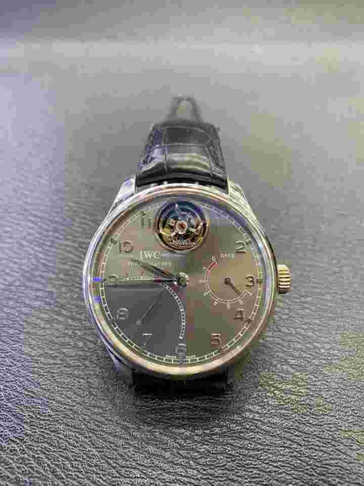 IW504401 IWC