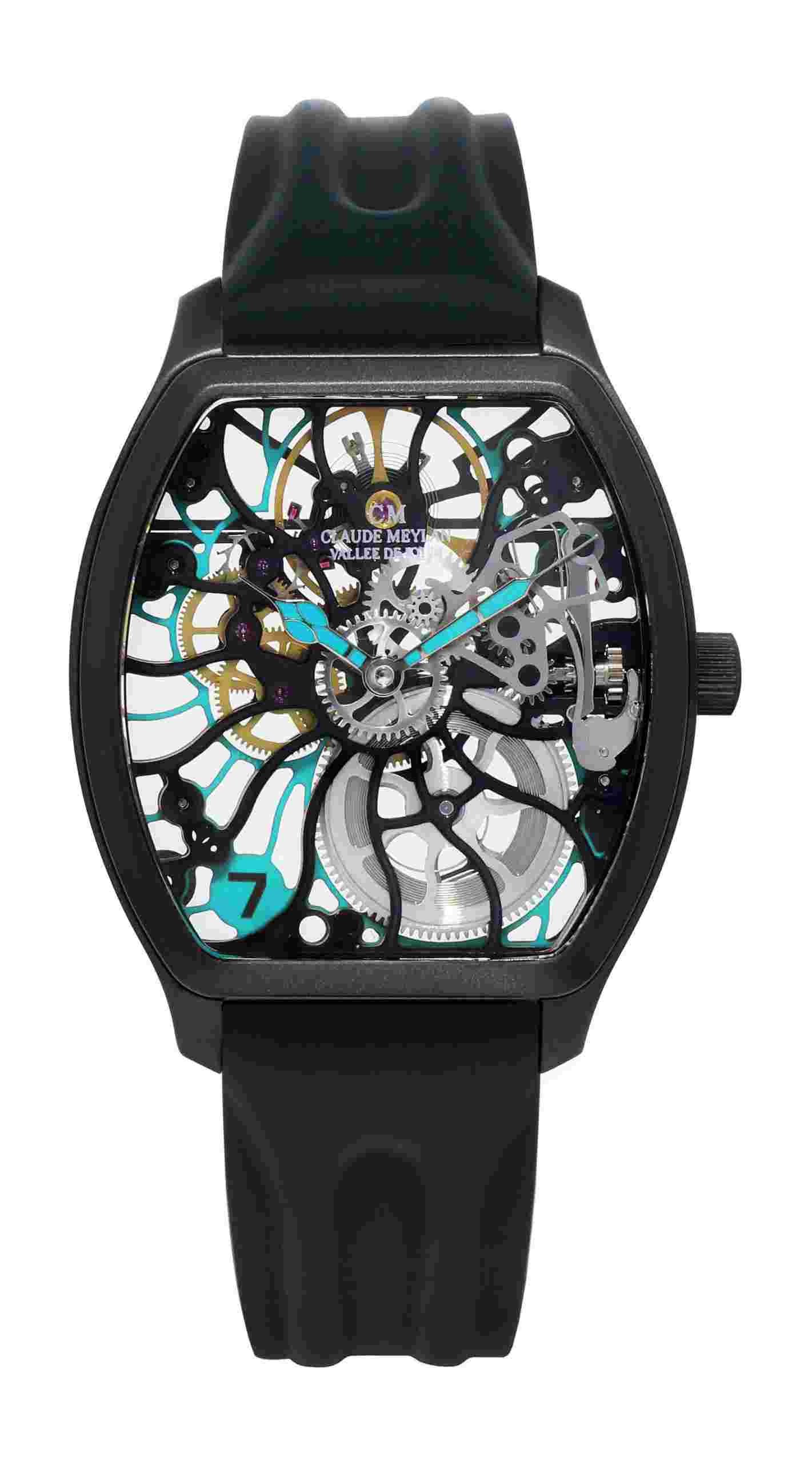 Claude Meylan
Tortue Rainbow