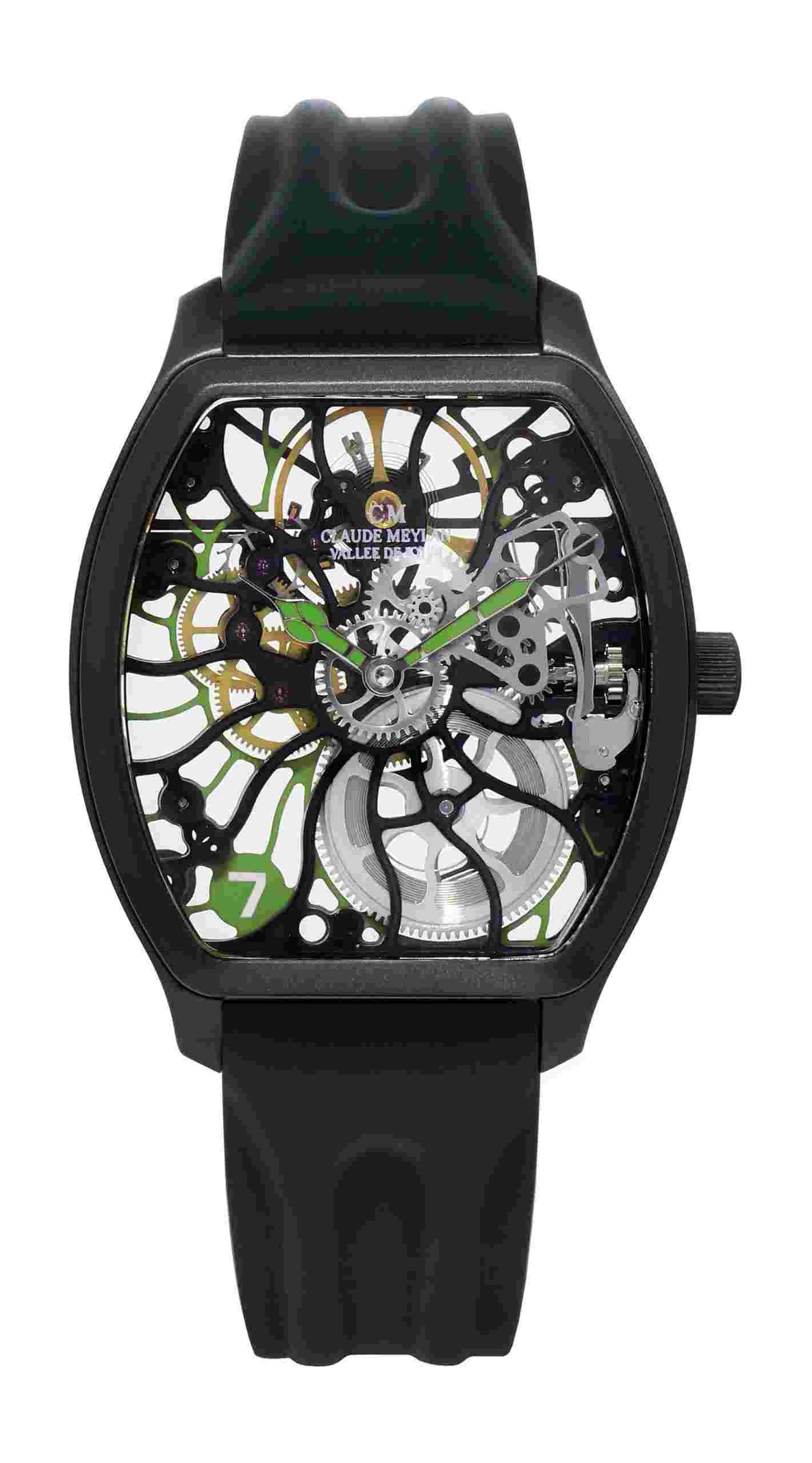 Claude Meylan
Tortue Rainbow