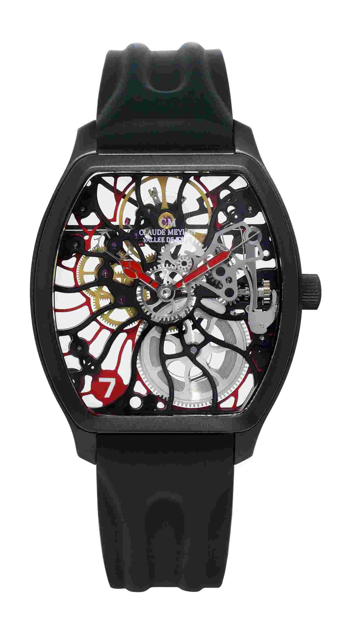 Claude Meylan
Tortue Rainbow