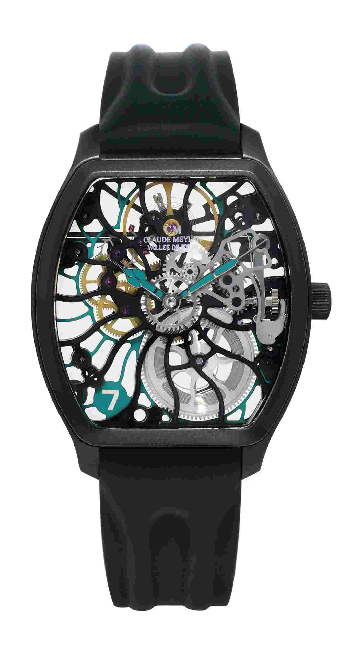 Claude Meylan
Tortue Rainbow