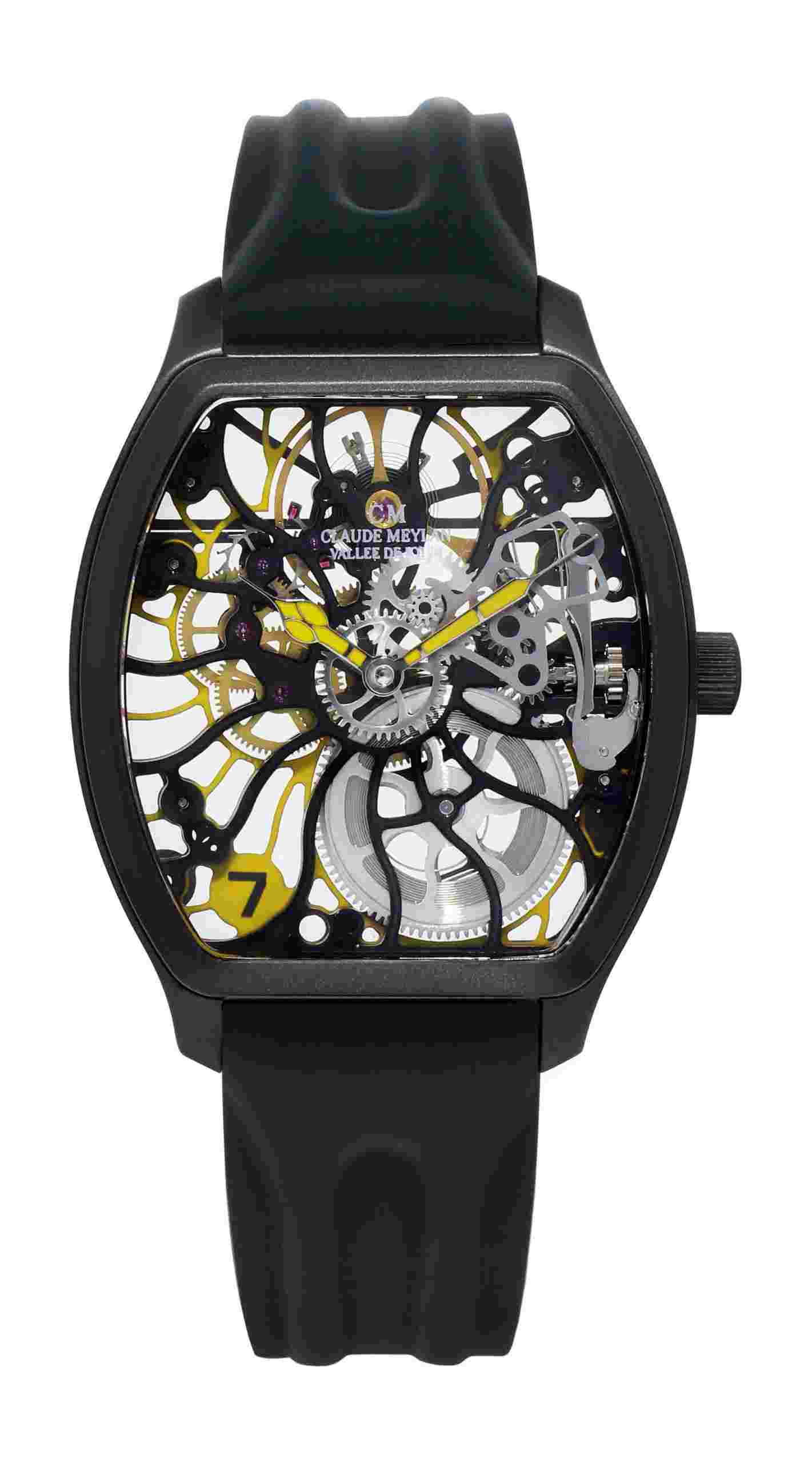 Claude Meylan
Tortue Rainbow