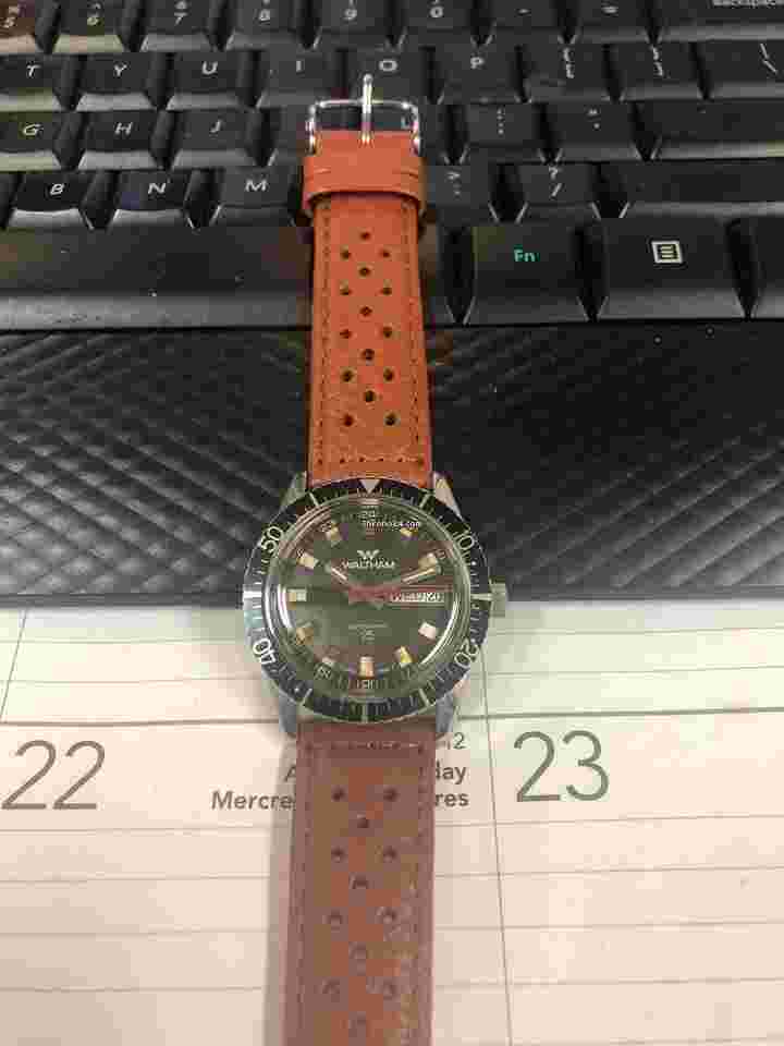 Waltham
Diver